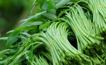 Cách ăn rau muống đúng cách để loại bỏ độc tố